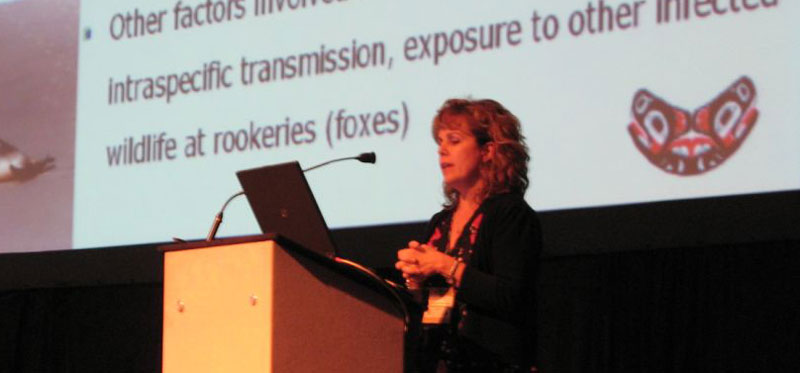 Dr. Stephanie Norman presenting study on Leptospira infection at 2007 SMM conference Dr. Stephanie Norman presenting study on Leptospira infection at 2007 SMM conference